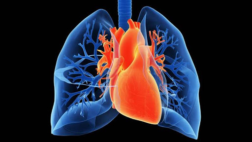 Keperawatan Dewasa Sistem Kardiovaskuler, Respiratori, Hematologi