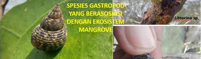 PENGANTAR SUMBERDAYA CRUSTACEA DAN MOLUSKA (P)