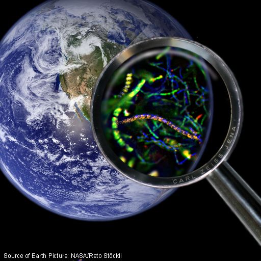 MIKROBIOLOGI LINGKUNGAN 2025-2