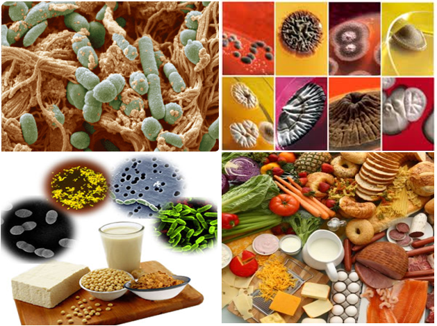 MIKROBIOLOGI PANGAN 2025-2