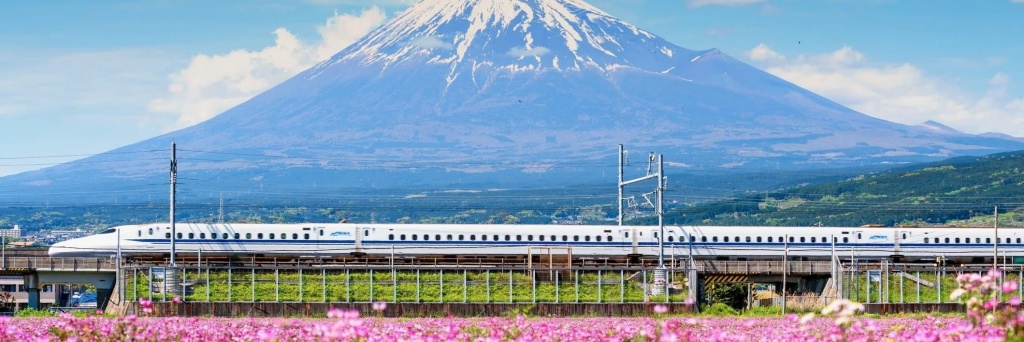 Bahasa Jepang (N1D225)